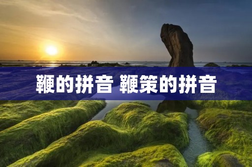 鞭的拼音 鞭策的拼音