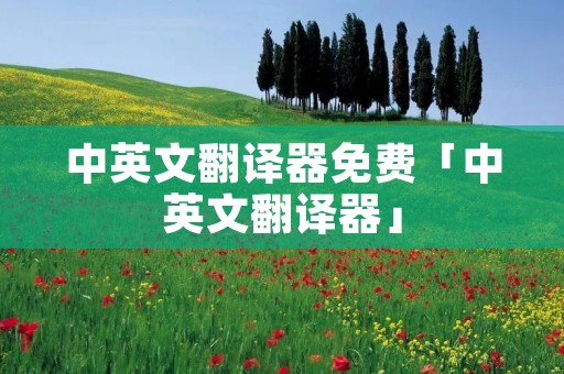 中英文翻译器免费「中英文翻译器」