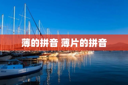 薄的拼音 薄片的拼音