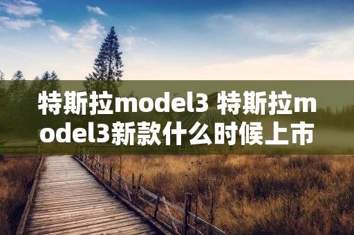 特斯拉model3 特斯拉model3新款什么时候上市