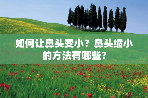 如何让鼻头变小?鼻头缩小的方法有哪些? 如何让鼻头变小?鼻头缩小的方法有哪些?