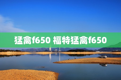 猛禽f650 福特猛禽f650
