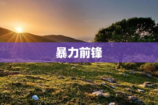 暴力前锋:足球场上的攻击利器 暴力前锋:足球场上的攻击利器