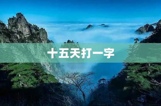 十五天打一字：用时间跨越语言的壁垒