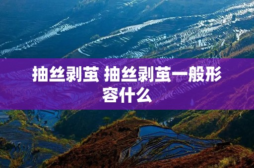 抽丝剥茧 抽丝剥茧一般形容什么