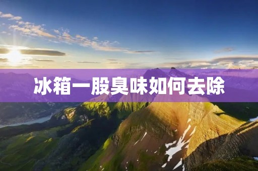 冰箱一股臭味如何去除 冰箱一股臭味如何去除