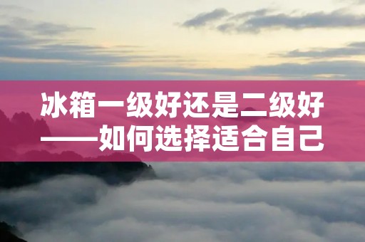 冰箱一级好还是二级好——如何选择适合自己的冰箱