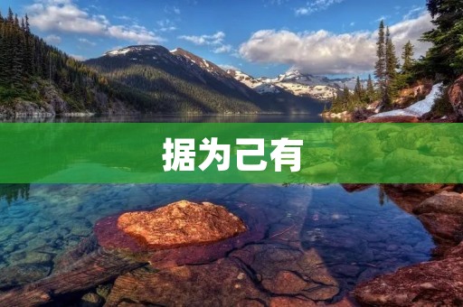 据为己有：谁拥有了你的数据？