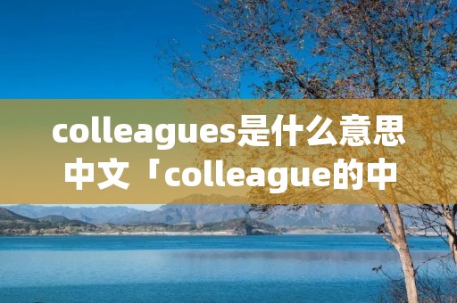 colleagues是什么意思中文「colleague的中文意思是什么」
