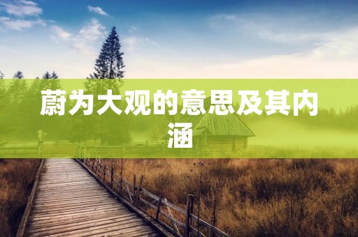 蔚为大观的意思及其内涵