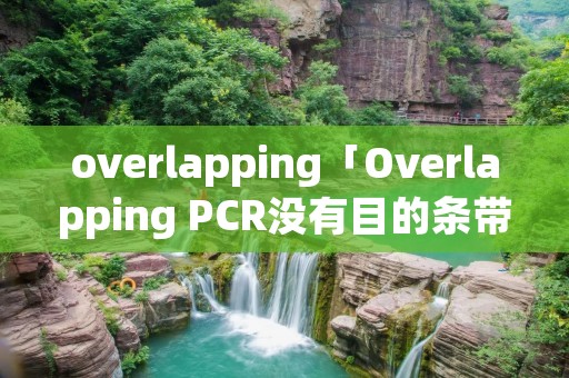 overlapping「Overlapping PCR没有目的条带」