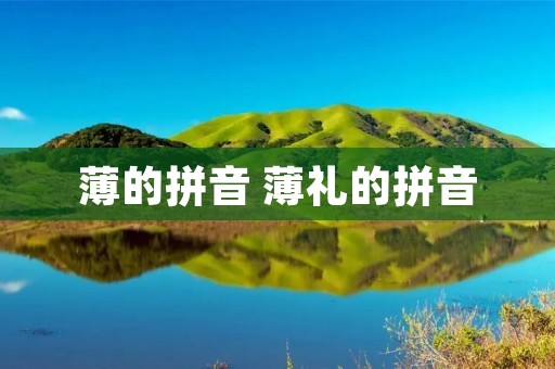 薄的拼音 薄礼的拼音