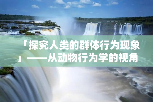 「探究人类的群体行为现象」——从动物行为学的视角出发 「探究人类的群体行为现象」——从动物行为学的视角出发