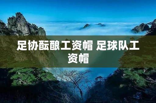 足协酝酿工资帽 足球队工资帽 足协酝酿工资帽 足球队工资帽