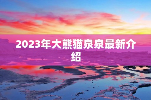 2023年大熊猫泉泉最新介绍 2023年大熊猫泉泉最新介绍