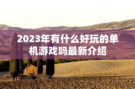 2023年有什么好玩的单机游戏吗最新介绍 2023年有什么好玩的单机游戏吗最新介绍