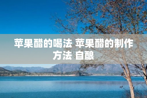 苹果醋的喝法 苹果醋的制作方法 自酿