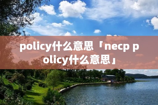 policy什么意思「necp policy什么意思」