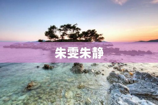 朱雯朱静：一对双胞胎姐妹的成长故事