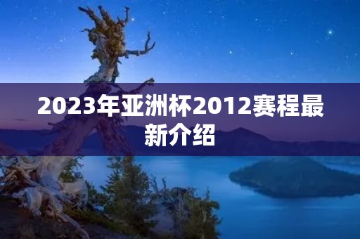 2023年亚洲杯2012赛程最新介绍