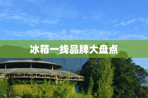 冰箱一线品牌大盘点:从技术到品质,全方位解析 冰箱一线品牌大盘点:从技术到品质,全方位解析