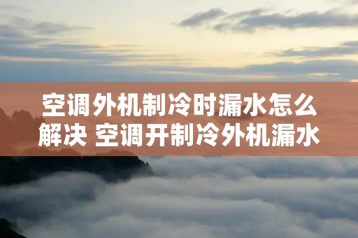 空调外机制冷时漏水怎么解决 空调开制冷外机漏水是怎么回事?