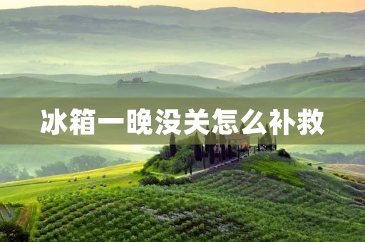 冰箱一晚没关怎么补救 冰箱一晚没关怎么补救