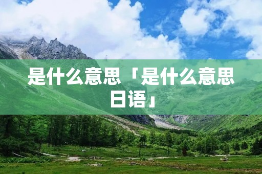 是什么意思「是什么意思日语」