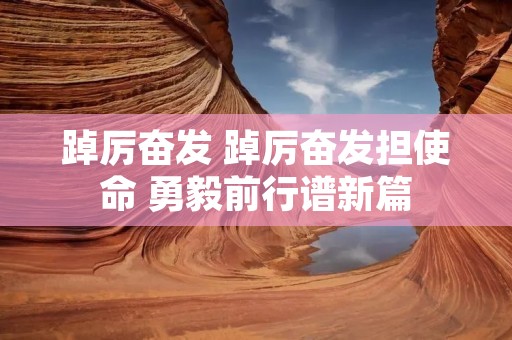 踔厉奋发 踔厉奋发担使命 勇毅前行谱新篇