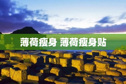 薄荷瘦身 薄荷瘦身贴