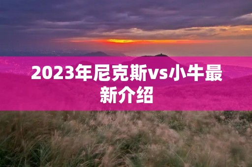 2023年尼克斯vs小牛最新介绍