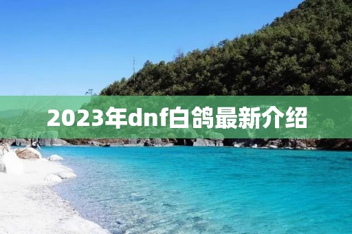 2023年dnf白鸽最新介绍