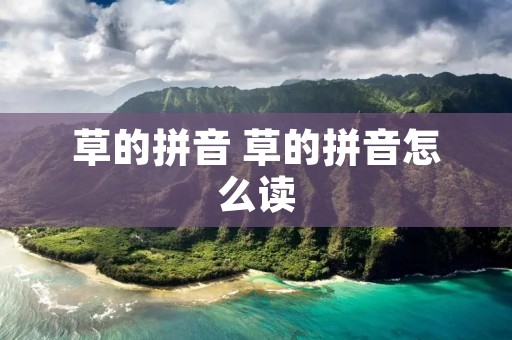 草的拼音 草的拼音怎么读