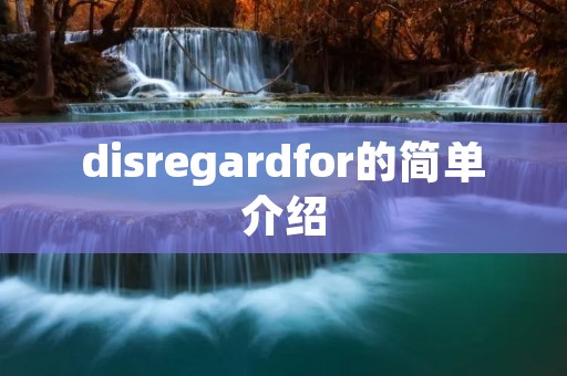 disregardfor的简单介绍