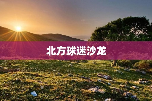 北方球迷沙龙：让热爱足球的人聚在一起