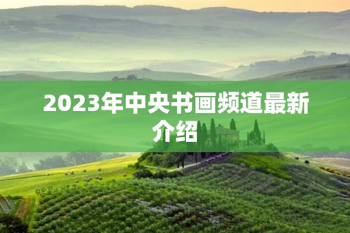 2023年中央书画频道最新介绍