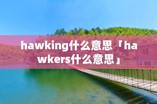 hawking什么意思「hawkers什么意思」