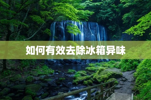 如何有效去除冰箱异味