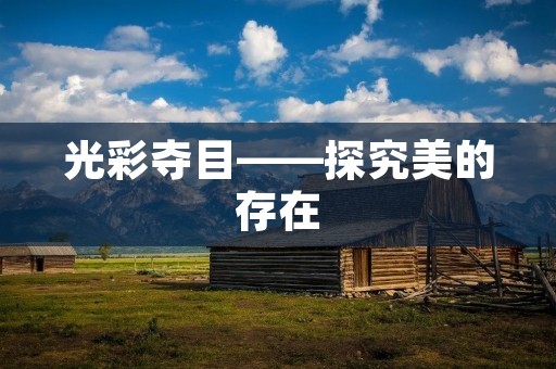 光彩夺目——探究美的存在