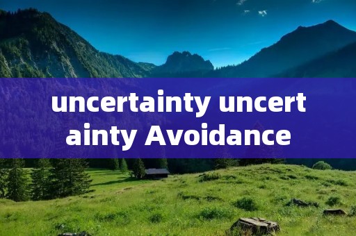 uncertainty uncertainty Avoidance