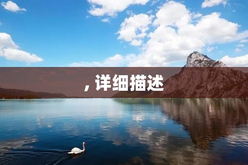 , 详细描述