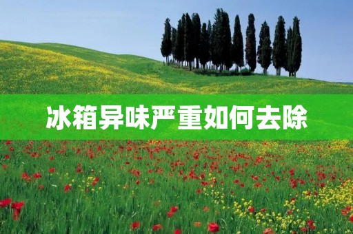 冰箱异味严重如何去除