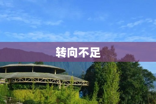 转向不足：车辆安全隐患的根源