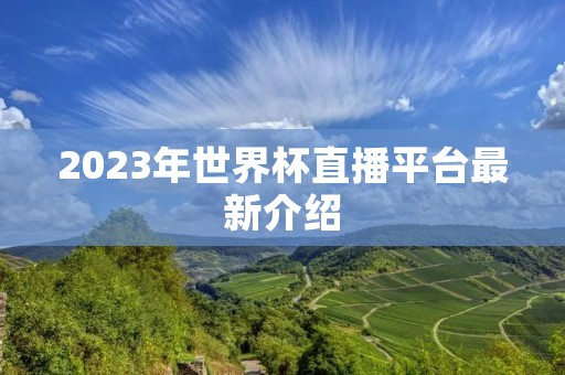 2023年世界杯直播平台最新介绍