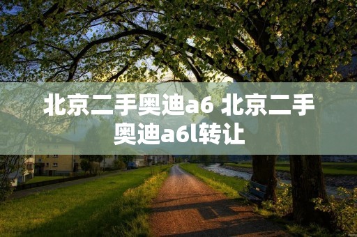 北京二手奥迪a6 北京二手奥迪a6l转让