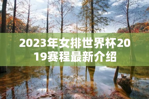 2023年女排世界杯2019赛程最新介绍