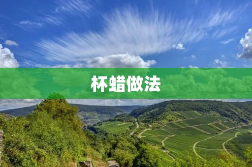 杯蜡做法：自己动手做可爱实用的杯蜡