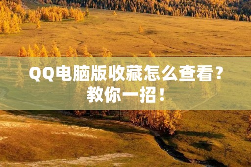 QQ电脑版收藏怎么查看?教你一招!