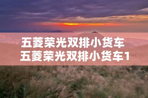 五菱荣光双排小货车 五菱荣光双排小货车15l