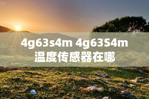 4g63s4m 4g63S4m温度传感器在哪 4g63s4m 4g63S4m温度传感器在哪